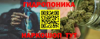 эйфоретик Гусь-Хрустальный