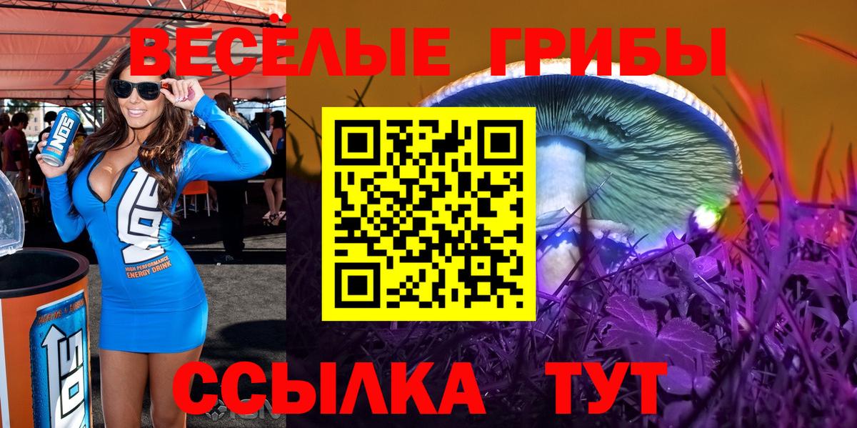 Галлюциногенные грибы прущие грибы Нефтекумск