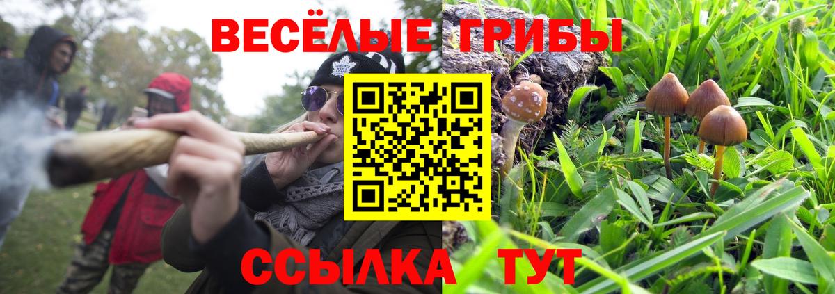 Нефтекумск  Галлюциногенные грибы Psilocybine cubensis  Вход с VPN 